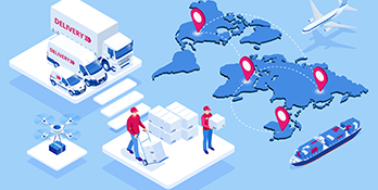 Supply Chain Professional