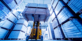 Warehousing Professional 