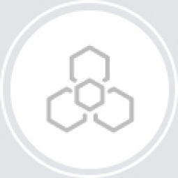 Online Payments