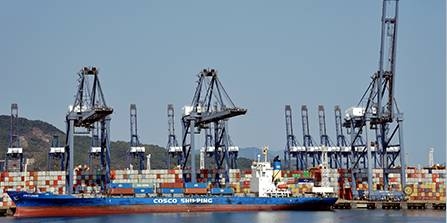 Dubai Trade Portal Overview